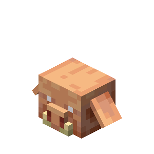 Misc